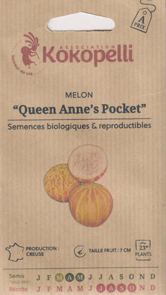 Tuoksumeloni "Queen Anne`s Pocket" (mini-meloni)